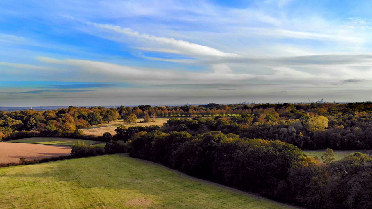 Julia Thomsen - Praying Moment