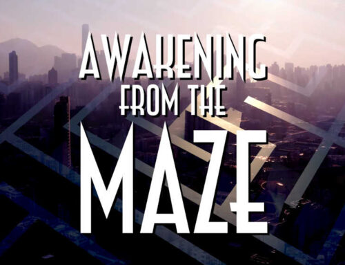Awakening from The Maze